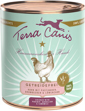 Ekonomipack: Terra Canis Grain Free 12 x 800 g - Kyckling med palsternacka, maskros & björnbär