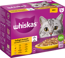 Whiskas 1+ Adult portionspåsar 12 x 85 g - Fjäderfäurval i gelé