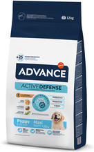 Affinity Advance Maxi Puppy Protect - Økonomipakke: 2 x 12 kg