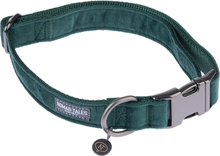 Nomad Tales Blush halsband, emerald - Stl. XS: 24 - 36 cm halsomfång, B 10 mm