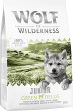 2 x 1 kg Wolf of Wilderness torrfoder till sparpris! - Junior Green Fields - Lamb