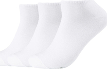 Skechers Urheilusukat 3PPK Men Sneaker Socks