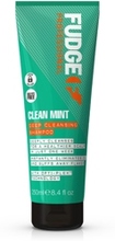 Clean Mint Purifying Shampoo, 250ml