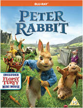 Peter Rabbit