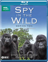 Spy in the Wild: Series 2