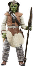 Hasbro Star Wars The Vintage Collection Wooof Action Figure
