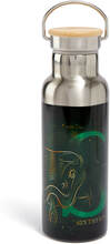 Akedo x Harry Potter Houses Slytherin Water Bottle