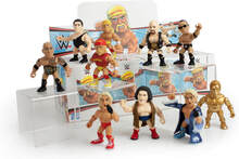 Loyal Subjects WWE - Blind Box Action Fig PDQ - 8 Figures Included