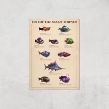 Fish Of The Sea Of Thieves Giclee Art Print - A2 - Print Only