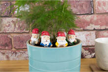 Plant Pot Gnomes