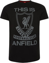 Liverpool FC This Is Anfield T-Shirt (S)
