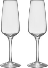 Orrefors Pulse champagneglass 28 cl, 2-pakning