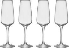 Orrefors Pulse champagneglass 28 cl, 4-pakning