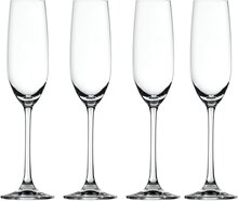 Spiegelau Salute champagneglass 21 cl 4-pack