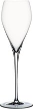 Spiegelau Special Glasses Champagne Sparkling Party champagneglass 25 cl