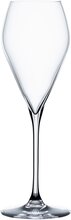 Spiegelau Special Glasses Party champagneglass 23 cl