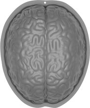 Bakform Hjärna
