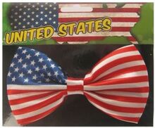 Fluga i Satin USA