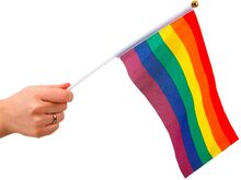 Handflaggor Pride - 6-pack
