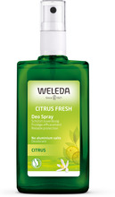 Weleda | Citrus Fresh Deo Spray