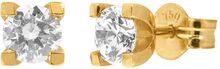 Diamantörhängen i 18K guld