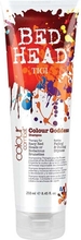 TIGI Colour Goddess Shampoo (U) 250 ml