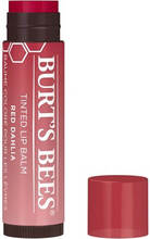 Burt's Bees Tinted Lip Balm - Red Dahlia 4 g