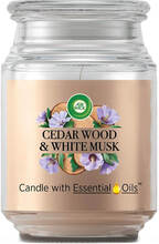 Air Wick Cedar Wood & White Musk Candle 480 g