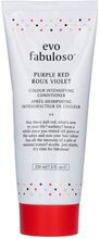 Evo Fabuloso Purple Red Roux Violet Colour Intensifying Conditioner 220 ml