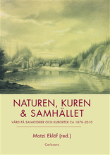 Naturen, kuren & samhället : vård på sanatorier och kurorter ca 1870-2010