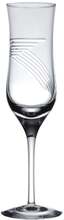 Hadeland Glassverk Surf Champagne / Hvitvinsglass 22 cl