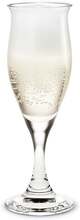Holmegaard Ideelle - Per Lükten 23cl Champagneglass