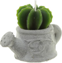 Litet Kaktusformat Stearinljus 4,5 cm