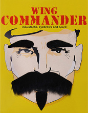 Commander - Svart Lösmustasch, Ögonbryn och Goatee