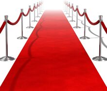 457x61 cm Red Carpet - VIP Party