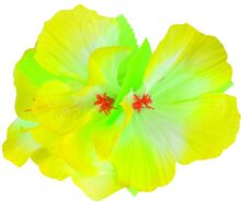 Fint Hårspänne med Gul Hawaii-Blomma