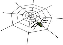 Spindel med Stort Spindelnät – Grön/Svart