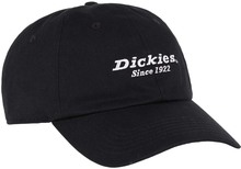 Dickies Dickies Men's Twill Dad Hat Black Kapser OneSize