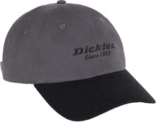 Dickies Dickies Men's Twill Dad Hat Graphite Kapser OneSize
