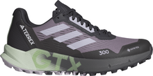 Adidas Adidas Women's Terrex Agravic Flow 2.0 GORE-TEX Trail Running Shoes Preloved Fig/Silver Dawn/Semi Green Spark Träningsskor 36 2/3
