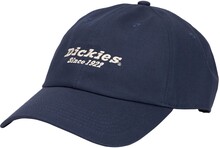 Dickies Dickies Men's Twill Dad Hat Navy Kepsar OneSize
