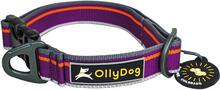 OllyDog OllyDog Urban Trail Reflective Collar Wild Aster Hundeseler & hundehalsbånd S