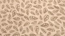 Robens Robens Fleece Carpet Wolf Moon 4xp Sand & Green Telttilbehør 52 x 11 cm