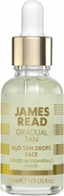 James Read H2O Tan Drops Face