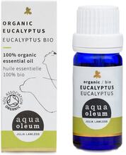 Eucalyptus Organic