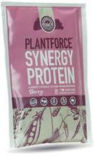 Synergy Protein Berry