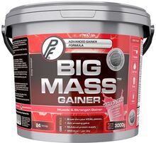 Big Mass Gainer Strawberry