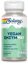 Solaray EnzymWay
