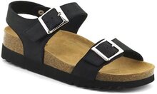 Scholl Sandal Dam Filippa Black