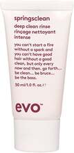Evo Spring Clean Deep Clean Rinse Shampoo - 30 ml